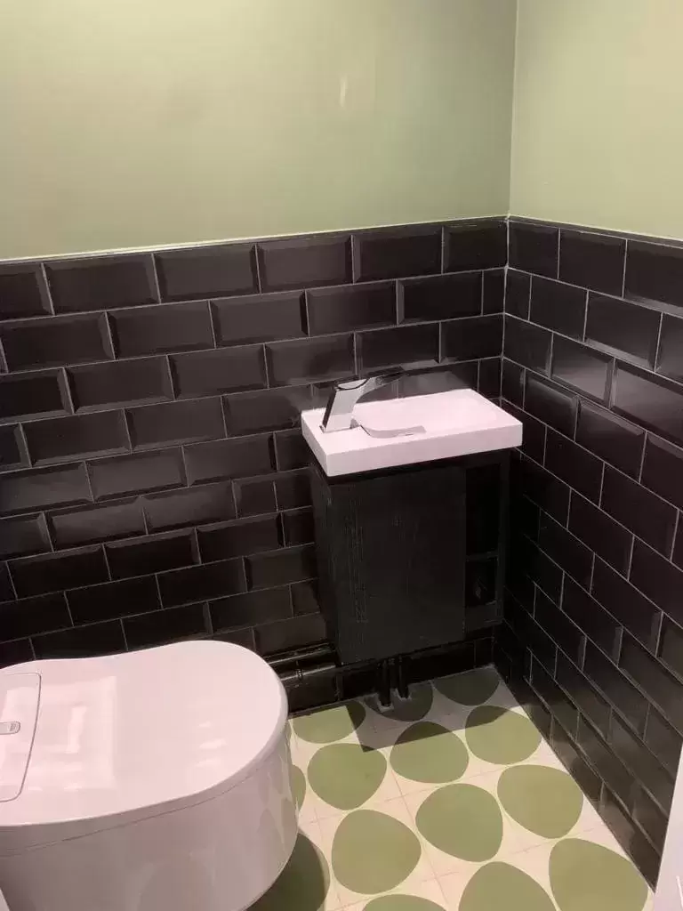 Toilette carrelage noir et vert