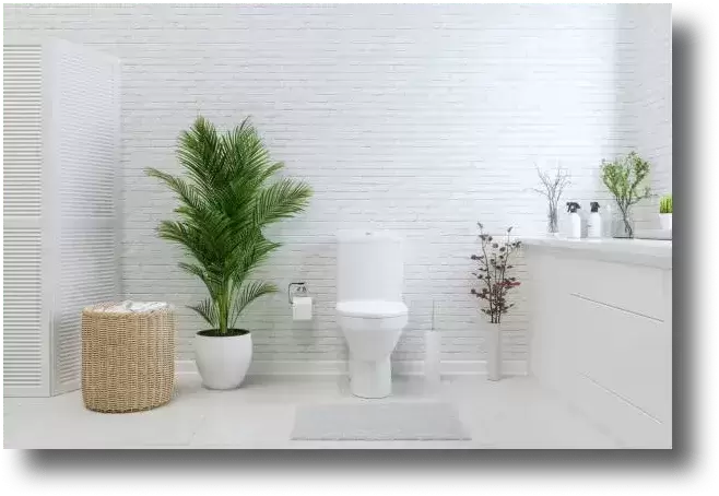 Salle de bain plante